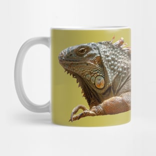 American Iguana Mug